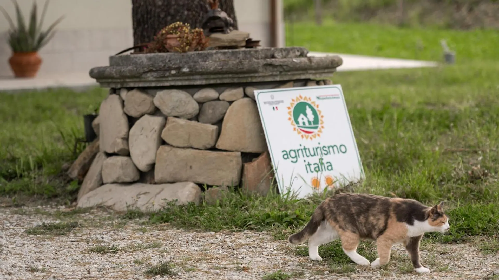 Agriturismo Glamping Pettirosso فراتّا تيرمي